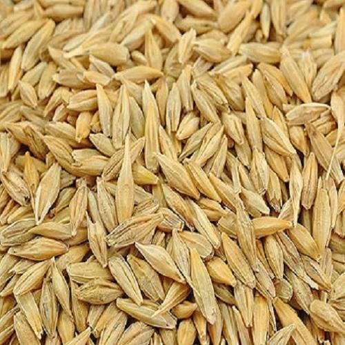 Organic Moroccan barley and prunes 220g - CEREAL Bio wholesaler